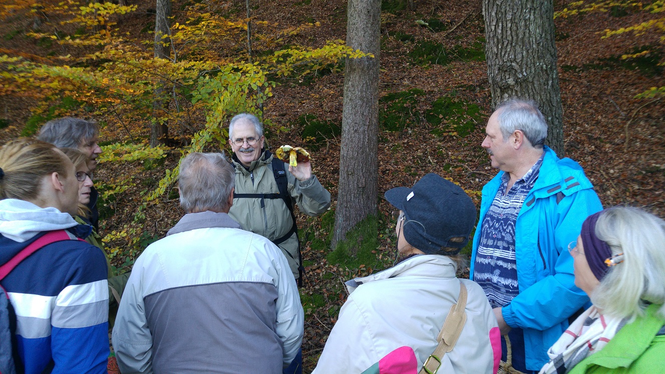 2015HerbstWanderung