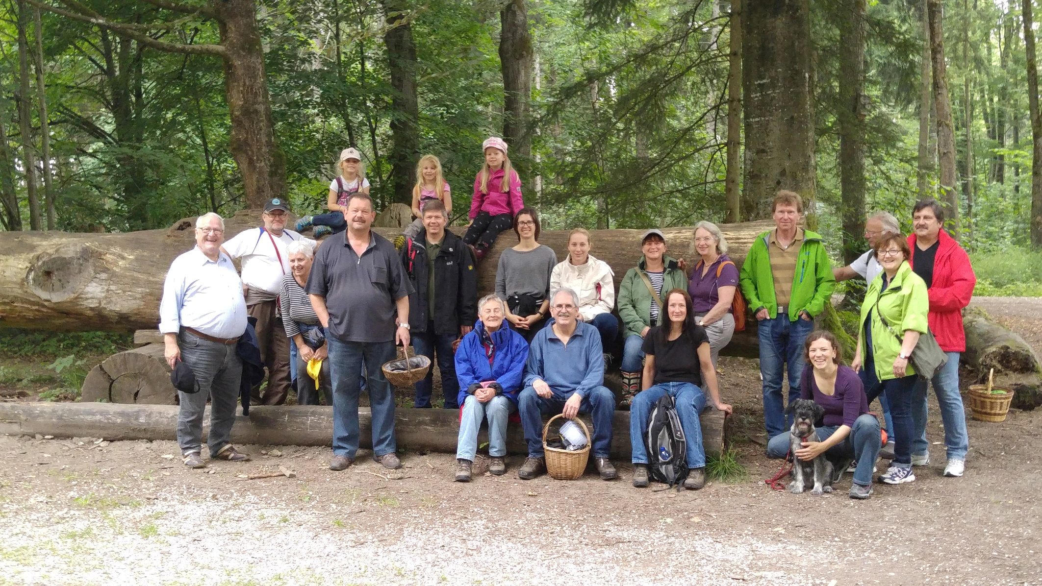 Sommerpilzexkursion2015