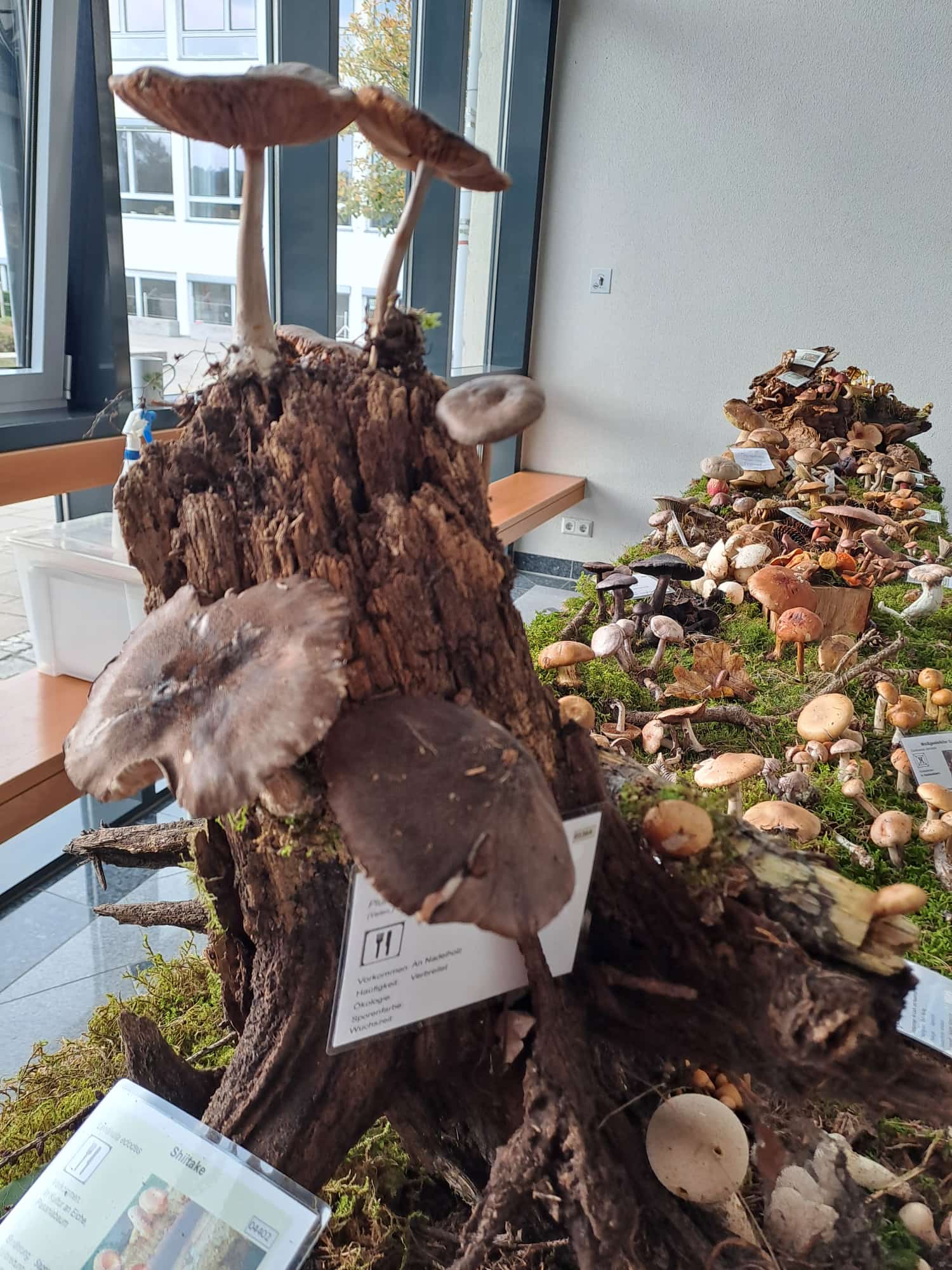 Ausstellung 01